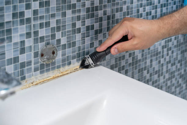 Best Mold Damage Repair  in Stephenville, TX