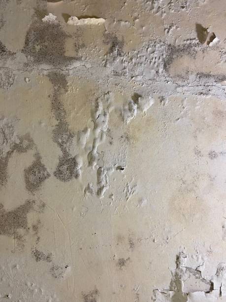 Water Damage Restoration in Stephenville, TX